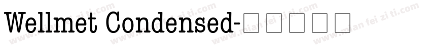 Wellmet Condensed字体转换